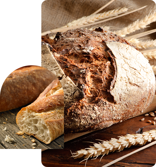 Group 4 (11) A loaf of bread with two pieces cut off.
