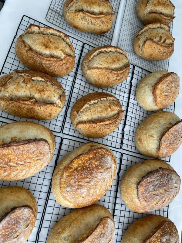 A bunch of bread sitting on top of a rack.